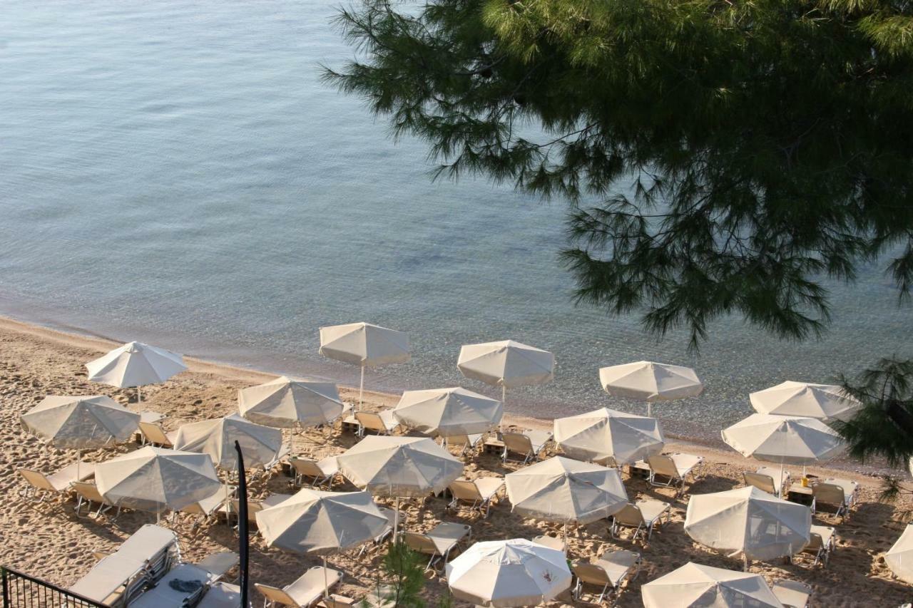 Cosy Apartment By The Sea เมตามอร์โฟซี ภายนอก รูปภาพ